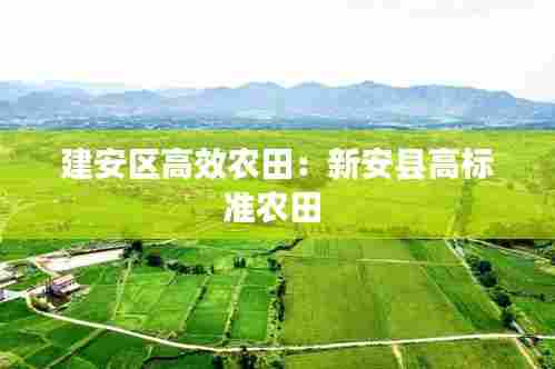 建安区高效农田:新安县高标准农田