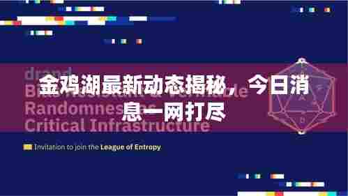 金鸡湖最新动态揭秘,今日消息一网打尽