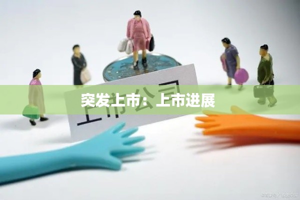 突发上市：上市进展 