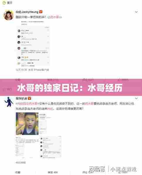 水哥的独家日记：水哥经历 