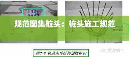 规范图集桩头：桩头施工规范 