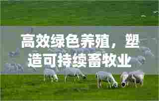 高效绿色养殖，塑造可持续畜牧业未来