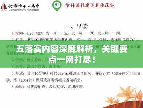 五落实内容深度解析,关键要点一网打尽!