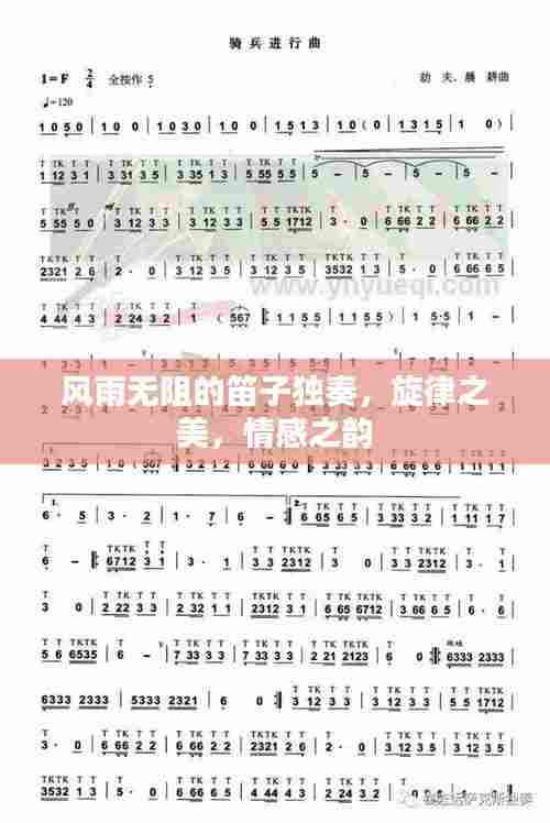 风雨无阻的笛子独奏,旋律之美,情感之韵