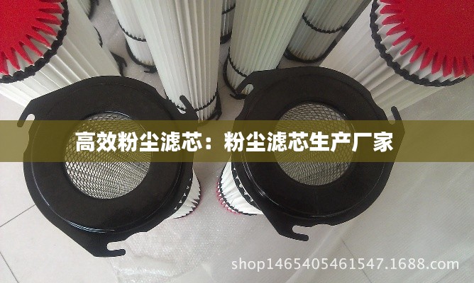 一本正经 第8页