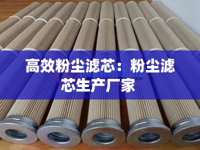高效粉尘滤芯:粉尘滤芯生产厂家
