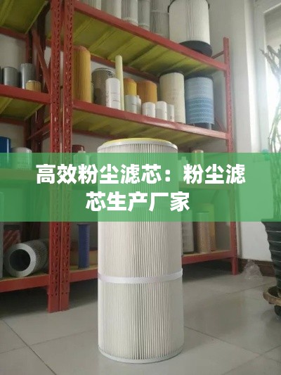 高效粉尘滤芯:粉尘滤芯生产厂家