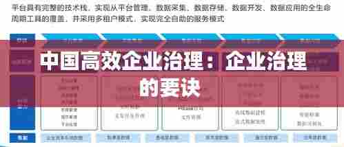 中国高效企业治理:企业治理的要诀
