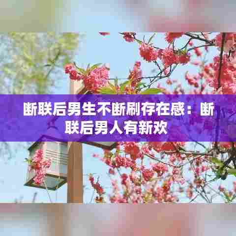 断联后男生不断刷存在感:断联后男人有新欢