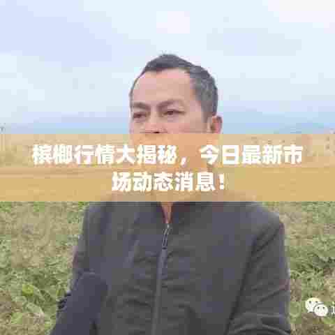 槟榔行情大揭秘,今日最新市场动态消息!