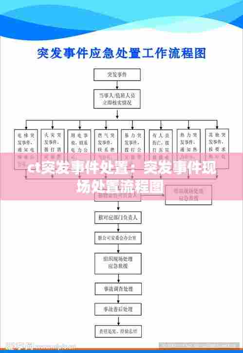 ct突发事件处置:突发事件现场处置流程图