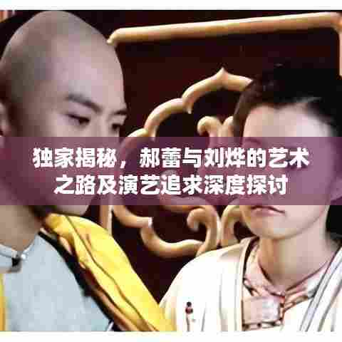 独家揭秘，郝蕾与刘烨的艺术之路及演艺追求深度探讨