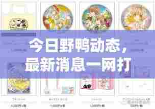 今日野鸭动态,最新消息一网打尽