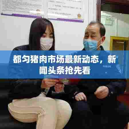都匀猪肉市场最新动态,新闻头条抢先看