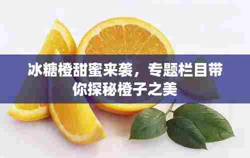 冰糖橙甜蜜来袭，专题栏目带你探秘橙子之美
