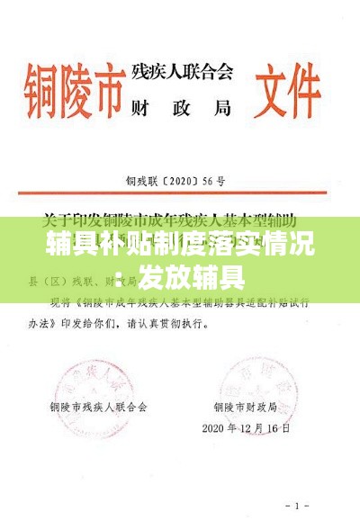 辅具补贴制度落实情况:发放辅具