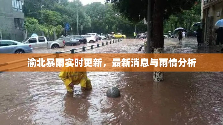 渝北暴雨实时更新,最新消息与雨情分析