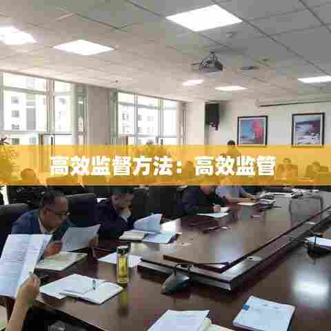 高效监督方法:高效监管
