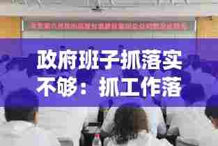 政府班子抓落实不够:抓工作落实不够