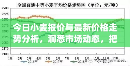 今日小麦报价与最新价格走势分析，洞悉市场动态，把握行情机遇！