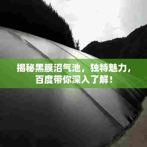 揭秘黑膜沼气池，独特魅力，百度带你深入了解！