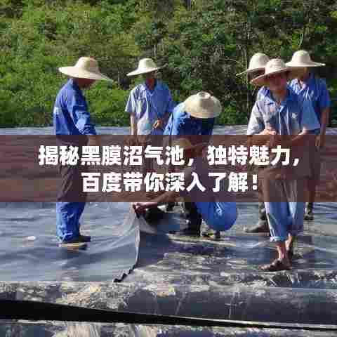 揭秘黑膜沼气池,独特魅力,百度带你深入了解!