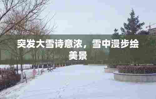 突发大雪诗意浓，雪中漫步绘美景