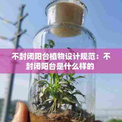 不封闭阳台植物设计规范：不封闭阳台是什么样的 