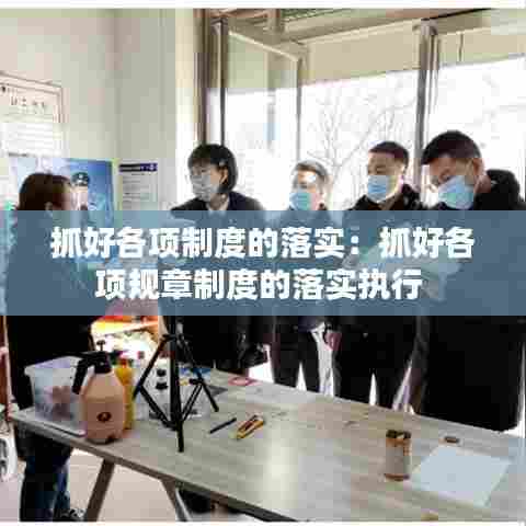 抓好各项制度的落实：抓好各项规章制度的落实执行 