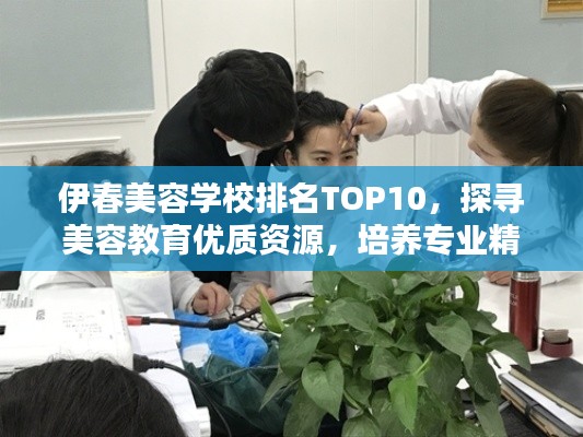 伊春美容学校排名TOP10,探寻美容教育优质资源,培养专业精英之地