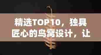 精选TOP10，独具匠心的鸟窝设计，让你大开眼界！