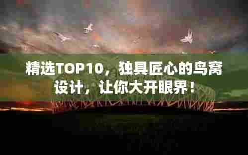 精选TOP10,独具匠心的鸟窝设计,让你大开眼界!