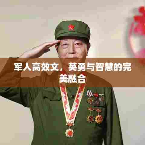 军人高效文，英勇与智慧的完美融合