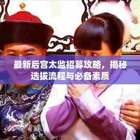 最新后宫太监招募攻略,揭秘选拔流程与必备素质