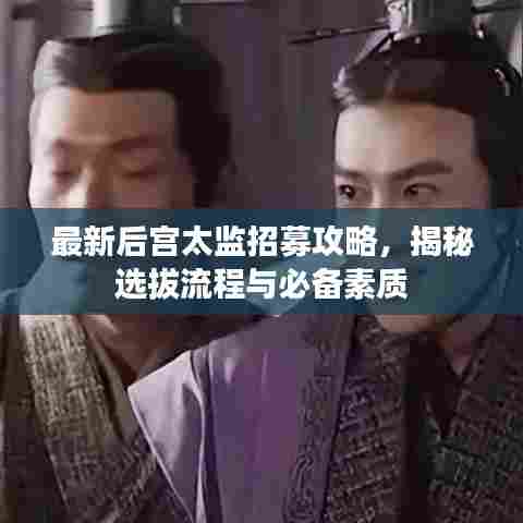 最新后宫太监招募攻略,揭秘选拔流程与必备素质