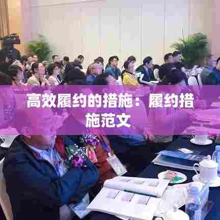 高效履约的措施:履约措施范文