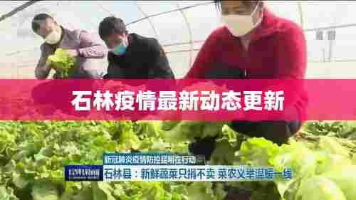 石林疫情最新动态更新