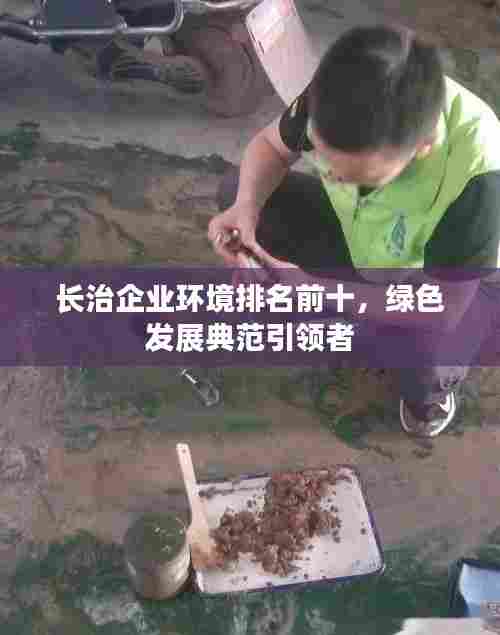 长治企业环境排名前十,绿色发展典范引领者