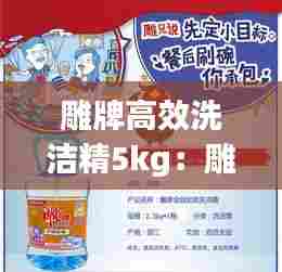 雕牌高效洗洁精5kg：雕牌高效洗洁精 2005年 