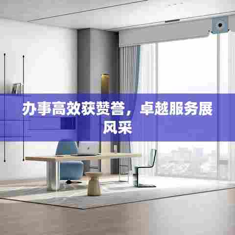 办事高效获赞誉,卓越服务展风采