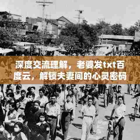 深度交流理解，老婆发txt百度云，解锁夫妻间的心灵密码