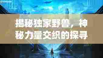 揭秘独家野兽,神秘力量交织的探寻之旅