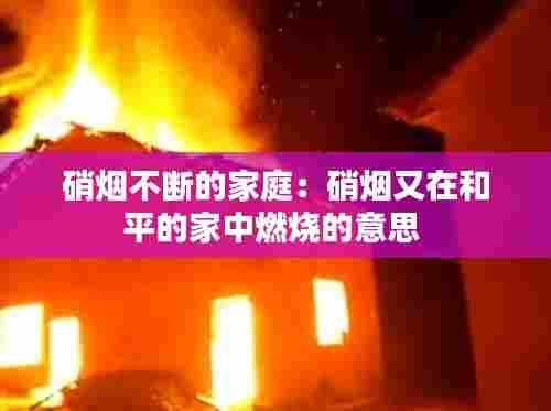硝烟不断的家庭:硝烟又在和平的家中燃烧的意思