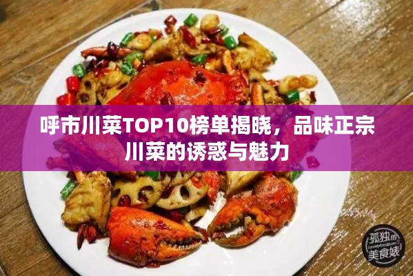 呼市川菜TOP10榜单揭晓，品味正宗川菜的诱惑与魅力