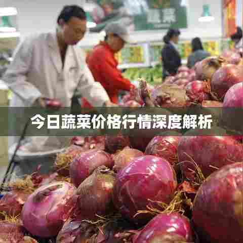 今日蔬菜价格行情深度解析