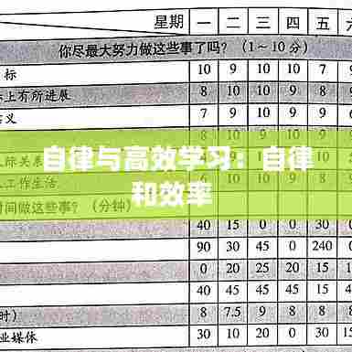 自律与高效学习:自律和效率