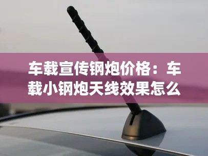 车载宣传钢炮价格：车载小钢炮天线效果怎么样 