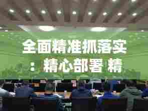 全面精准抓落实:精心部署 精准落实