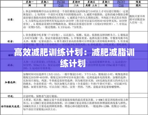 高效减肥训练计划:减肥减脂训练计划