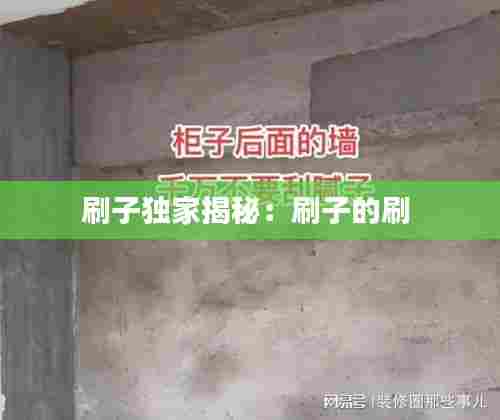 刷子独家揭秘：刷子的刷 